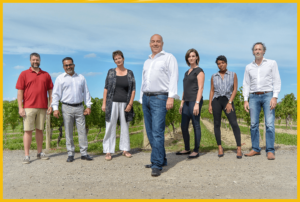 Three Pillars Team members standing in a vineyard